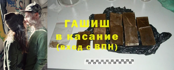 индика Вяземский