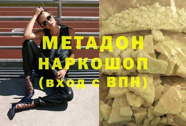 индика Вяземский