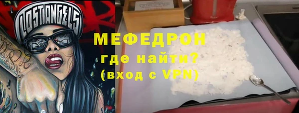 индика Вяземский