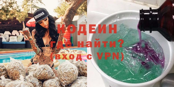 индика Вяземский