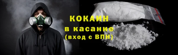 индика Вяземский