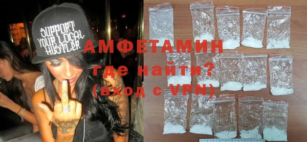 индика Вяземский