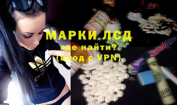 индика Вяземский
