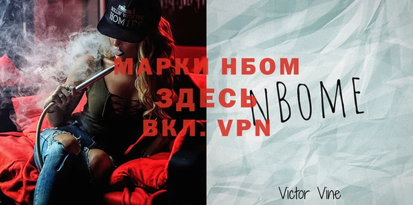 индика Вяземский