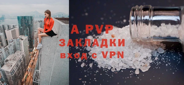 индика Вяземский