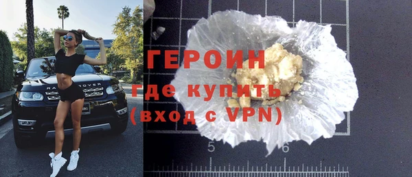 индика Вяземский