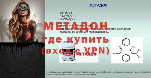 индика Вяземский