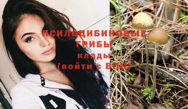 индика Вяземский