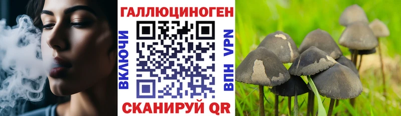 Купить где  Печоры  Псилоцибиновые грибы Psilocybine cubensis 